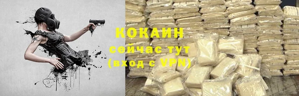 гашик Алзамай