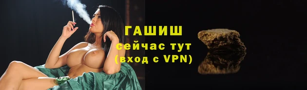 гашик Алзамай