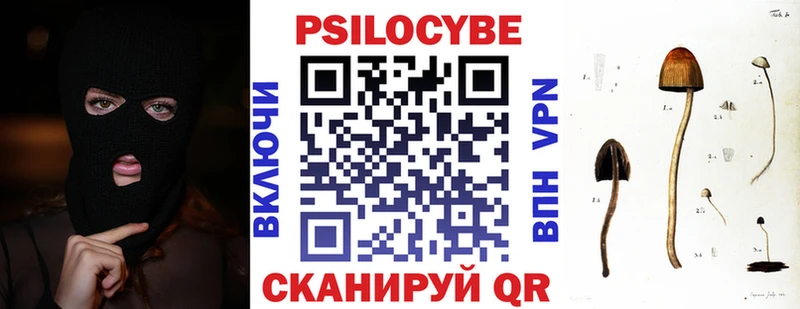 где продают Верхний Тагил Псилоцибиновые грибы GOLDEN TEACHER